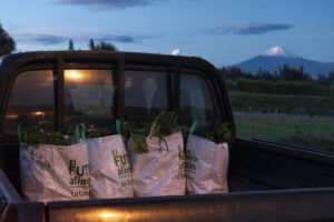 A truck leaves from Cotopaxi to deliver food from Heifer-supported farmers to customers in Quito. 