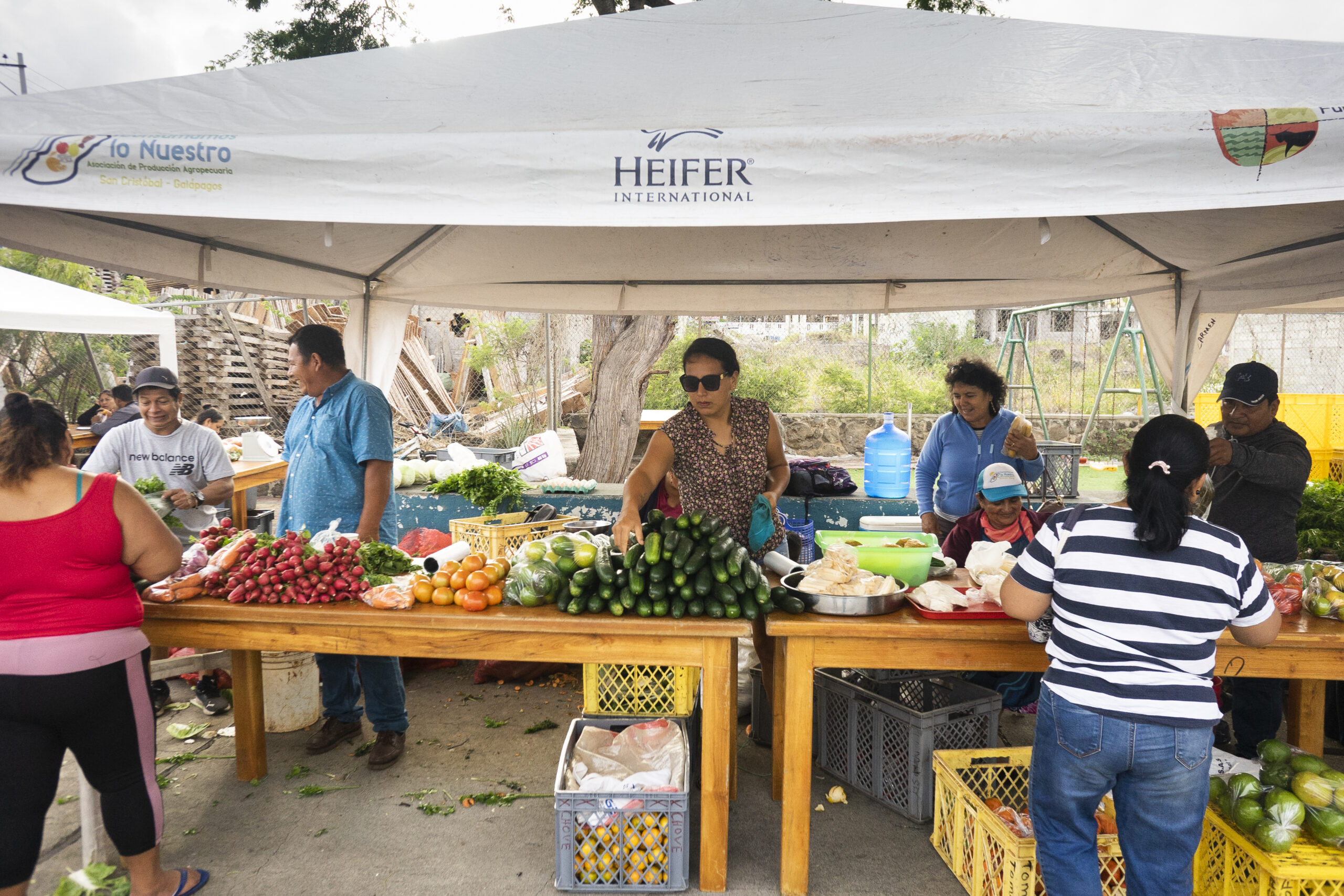 "Consumamos Lo Nuestro" fair where every Saturday agroecological farmers sell their products. San Cristobal, Galapagos, Ecuador.