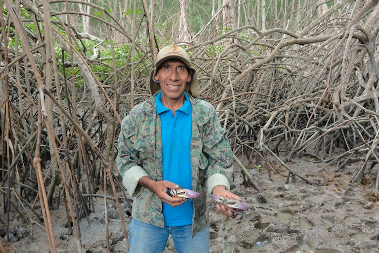 A man holds a crab in a mangrove forest.