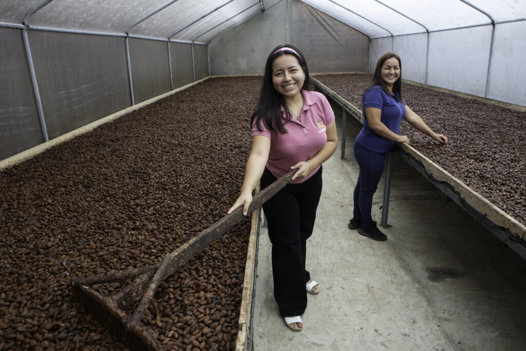 Two women stand beside large drying beds filled with cacao beans.