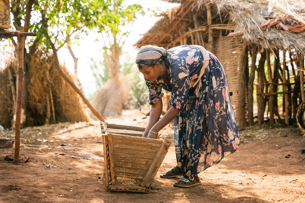 An Ethiopian woman bending over a wooden crate.