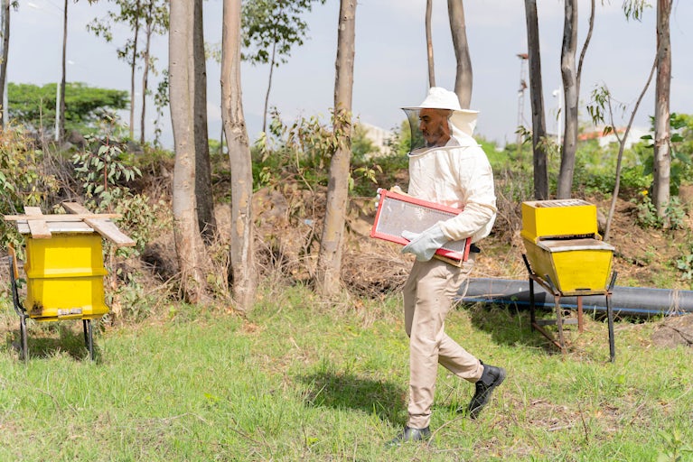 A man in beekeeping gear holds a 3D-printed honeycomb frame.