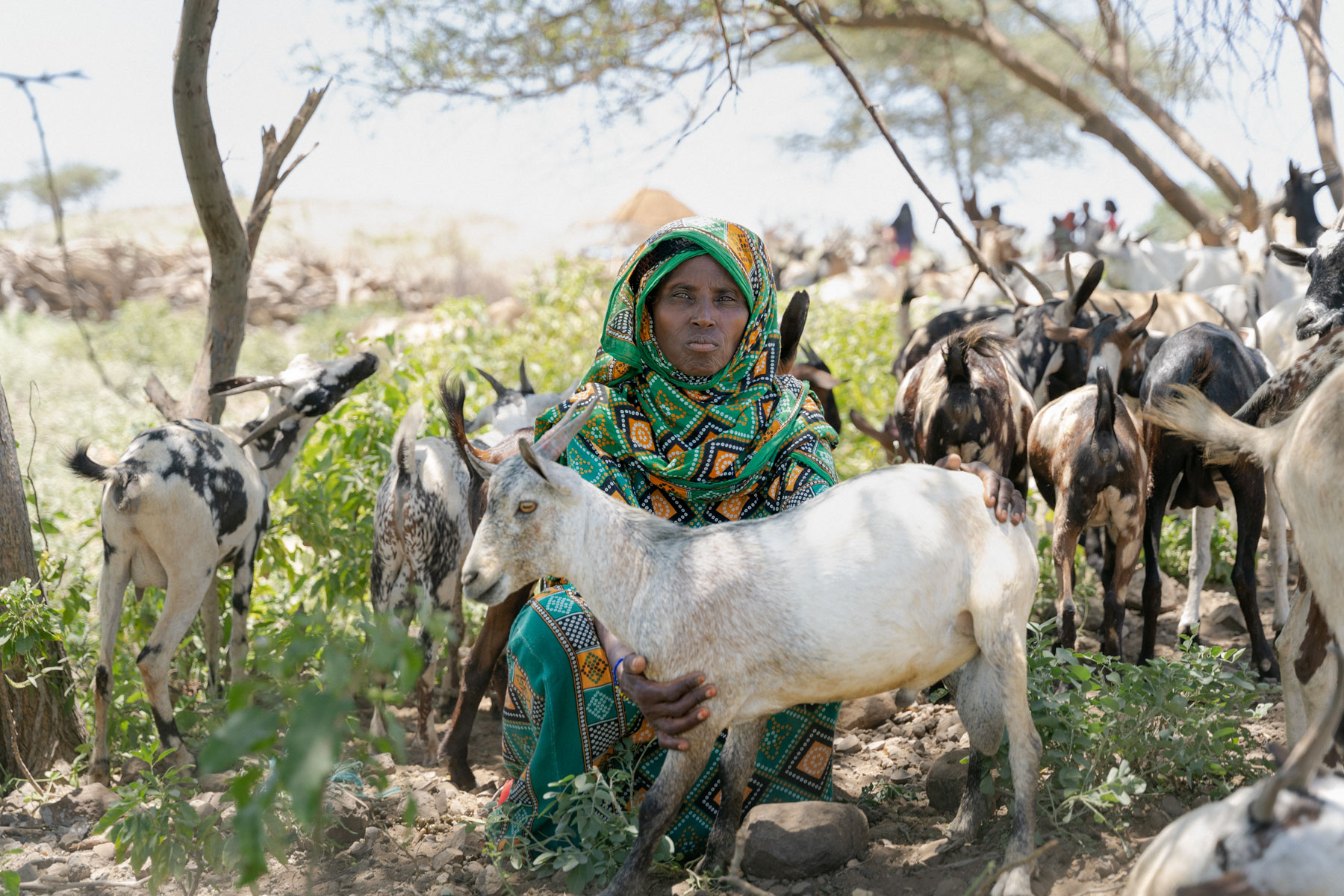A woman in a patterned outfit sits with a goat in a lowland landscape.