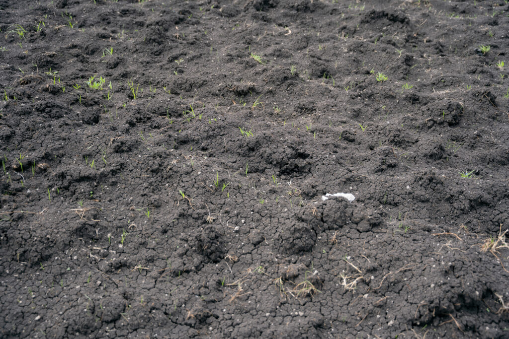 A wide view of a cultivated farm field.