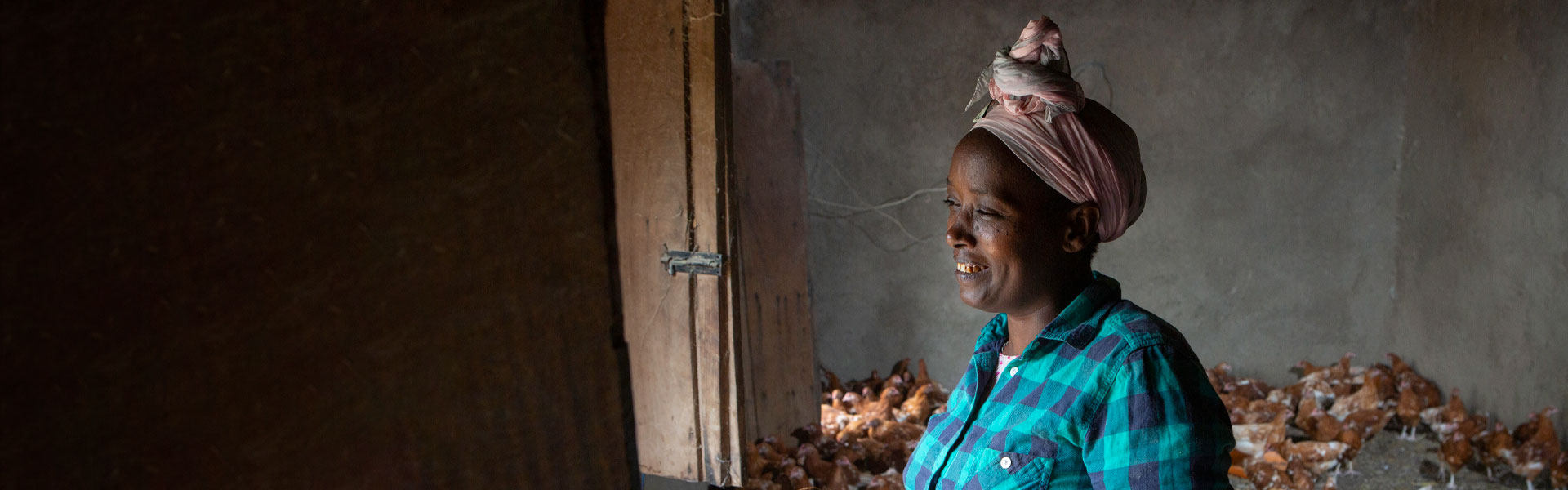 Fikere Filate, 25, holds a chicken inside her group coop in Awasa Zuria woreda, Ethiopia on September 13, 2025. She is the chairperson of Lonse Lopino Chick Grower Enterprise (Lonse Lopino means Let’s work and grow together) which raises chickens.