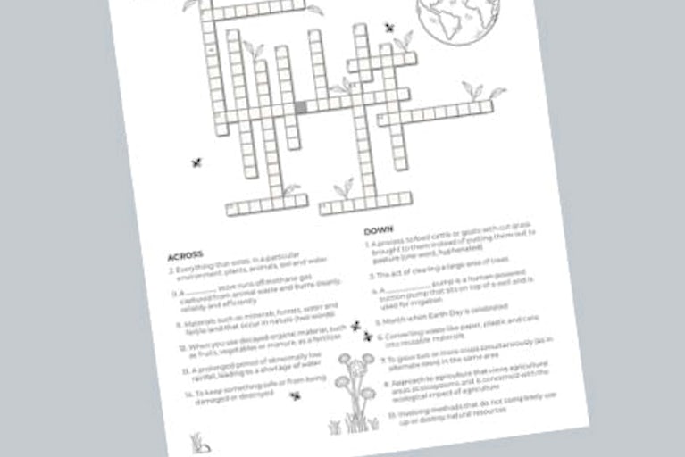 Crossword puzzle