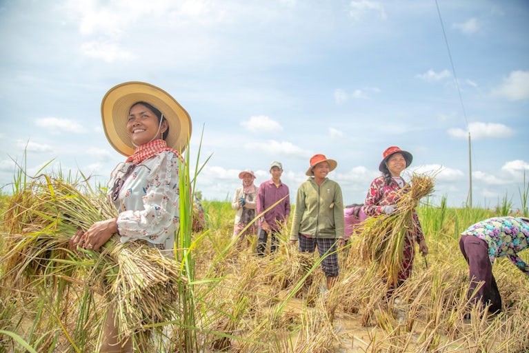 Woman holding grass clippings and staring off in the distance as other workers walk behind her.