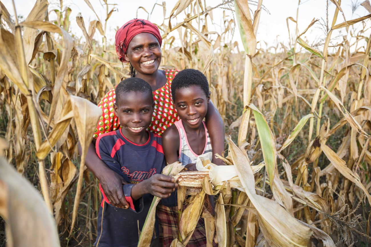 A mother and her two children stand together in a corn field.