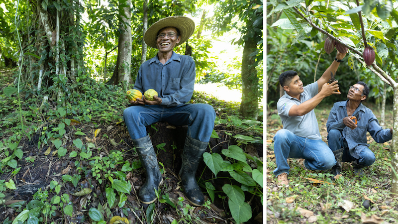 Frederico holds two cacao pods while sitting in his cacao farm. (Right) Merlin Castro and his father Frederico examine one of their cacao pods.