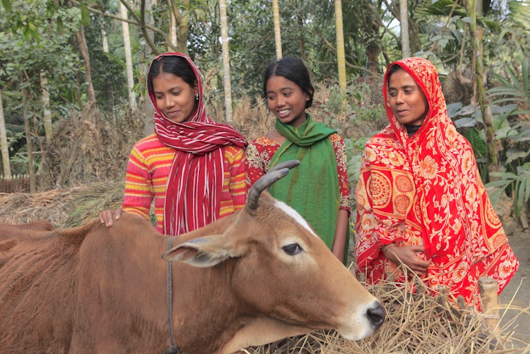 Three women regarding a cow.