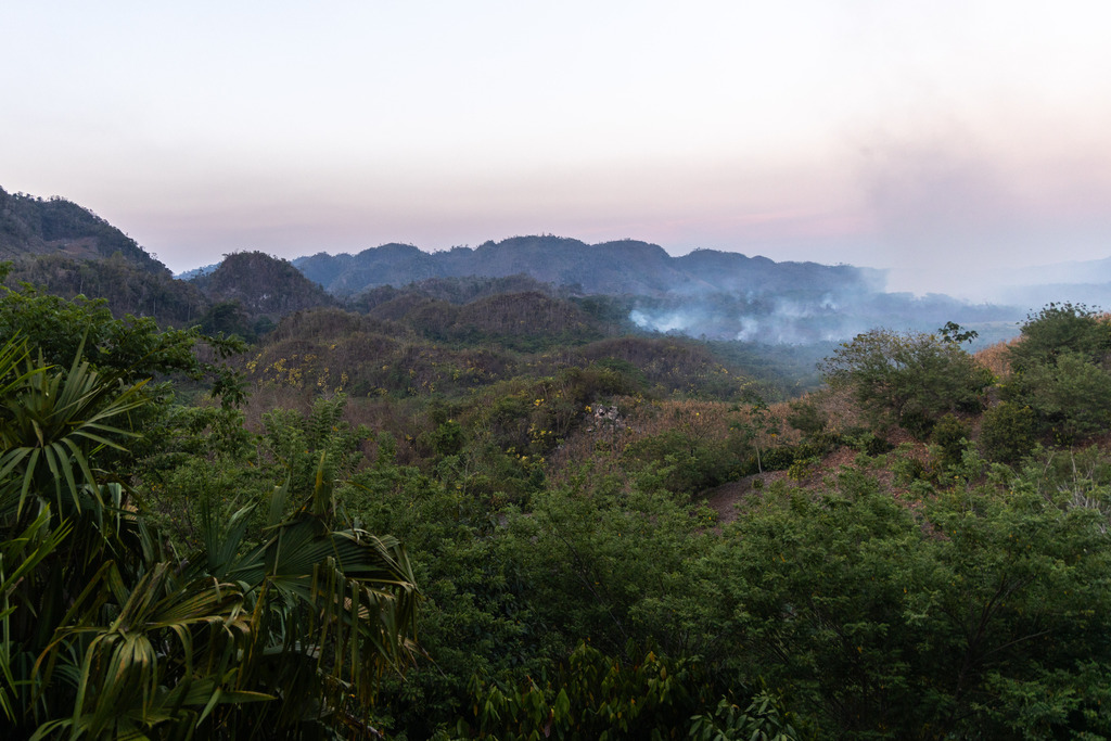 A mountainous and tree-filled landscape.
