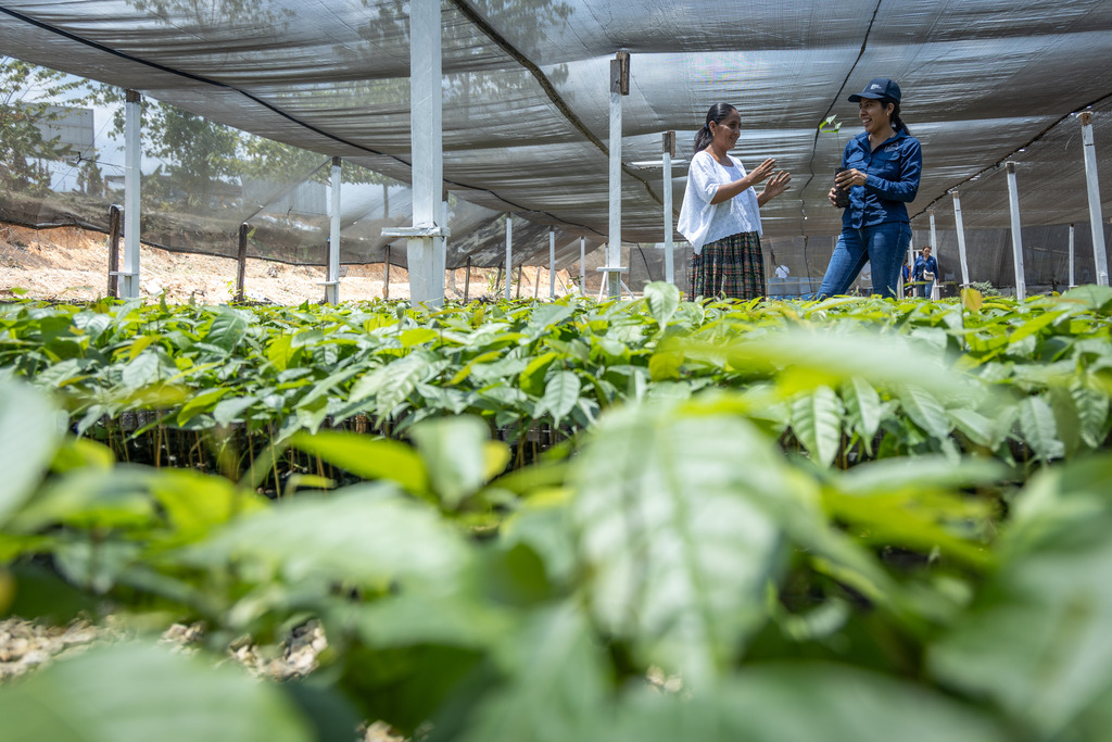Two women standing together with rows of green seedlings in the foreground.