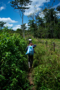 A young cardamom farmer walks down a path in a cloud forest, carrying a sack of spice on her back.