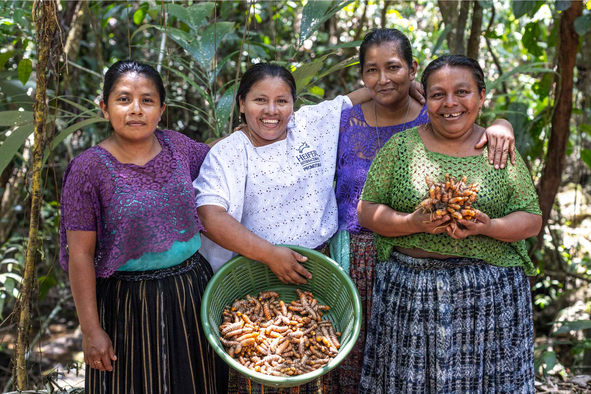 Women farmers from Guatemala pose and smile with a basket of tumeric roots.