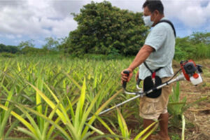 Galapagos-Farmer