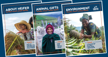 Covers of our Global Study Guides