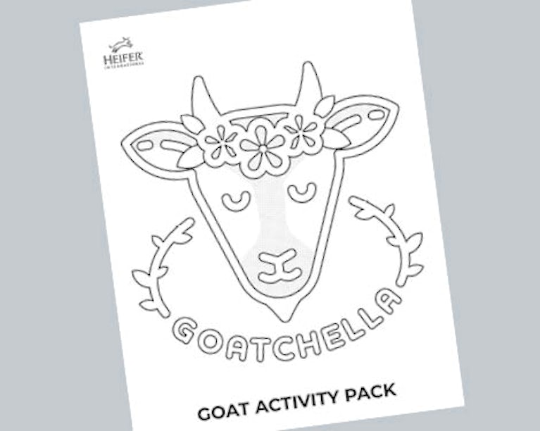 Goatchella activity pack cover.