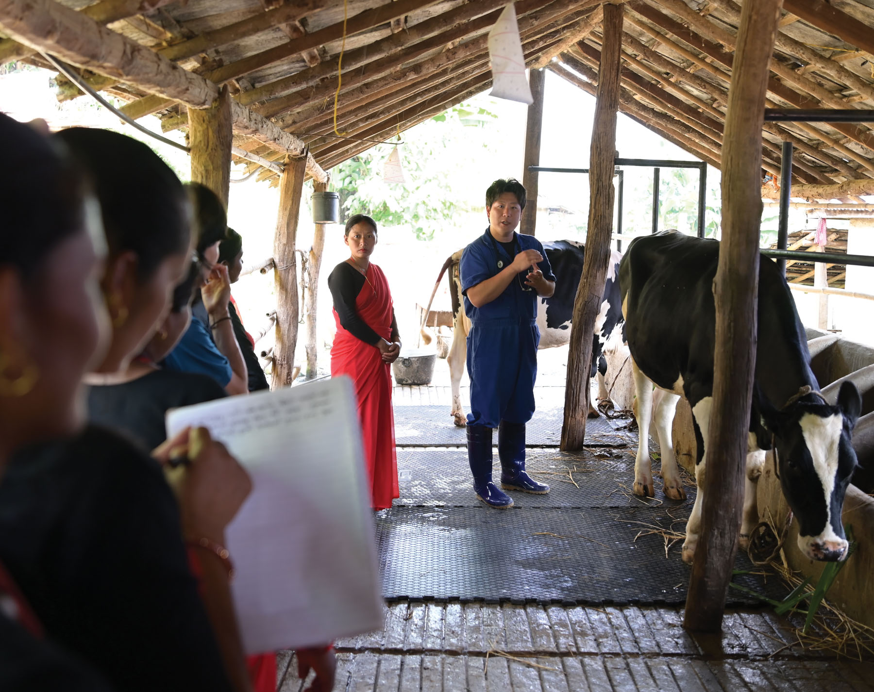 A man demonstrates dairy care in a barn.