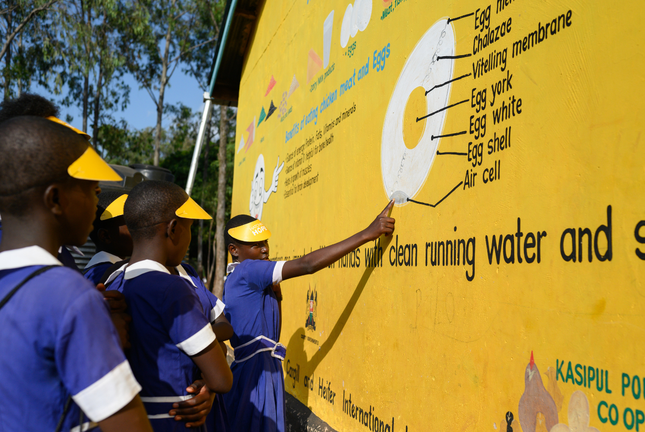 Students view a mural about chicken and egg consumption.