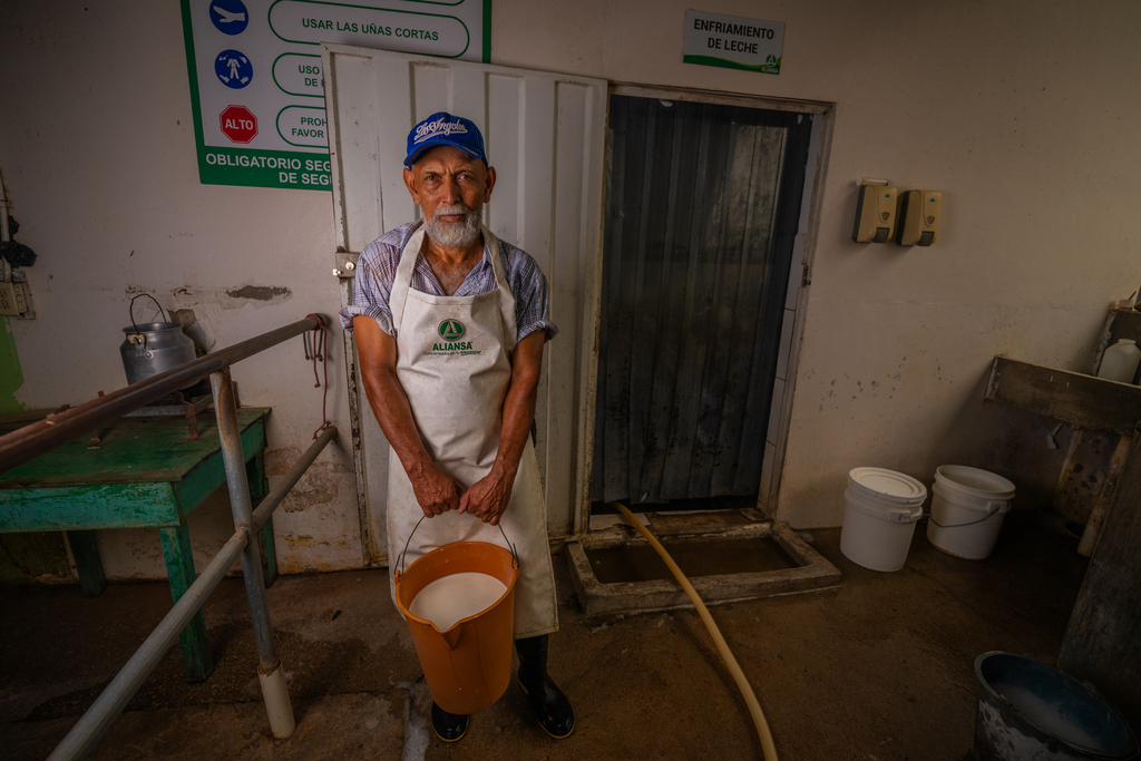 A Honduran man wearing an apron and holding a full bucket of milk.