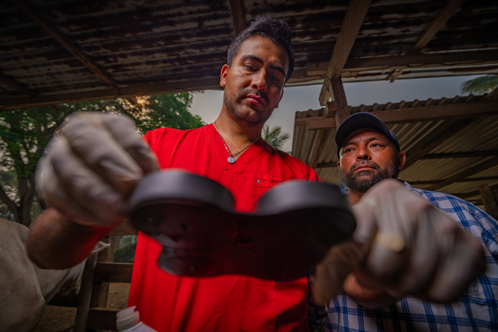 A man wearing red medical scrubs holding a small black plastic dish used for testing milk.