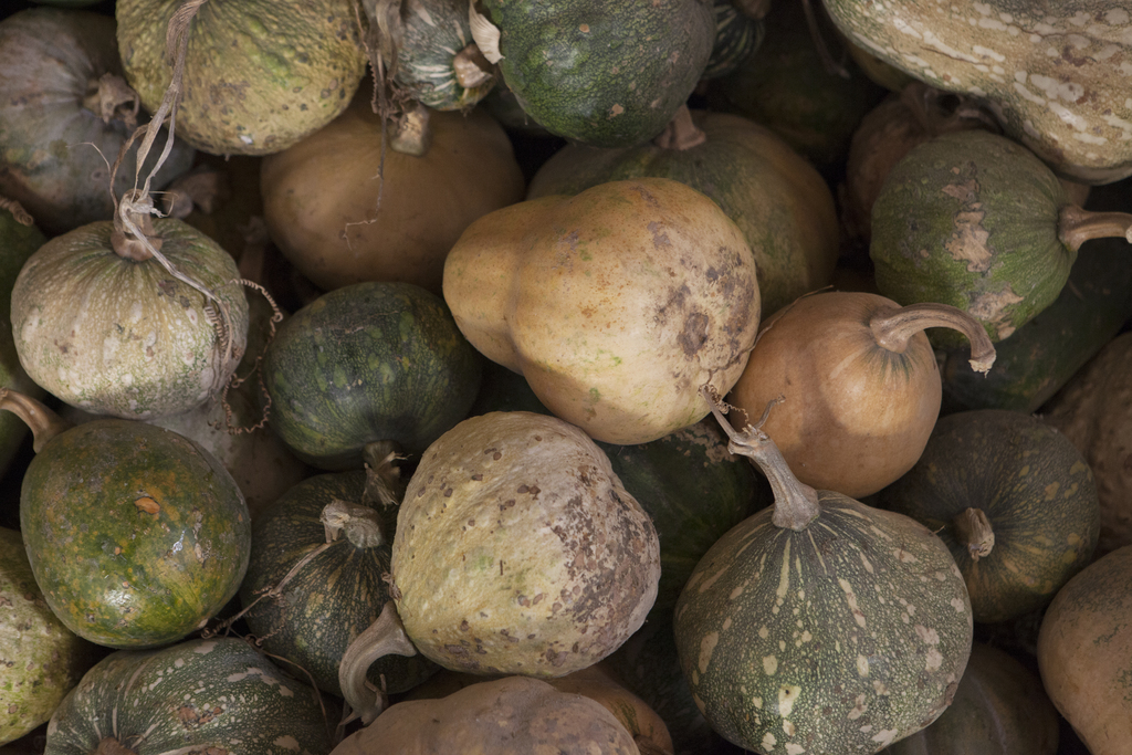 Pumpkins.