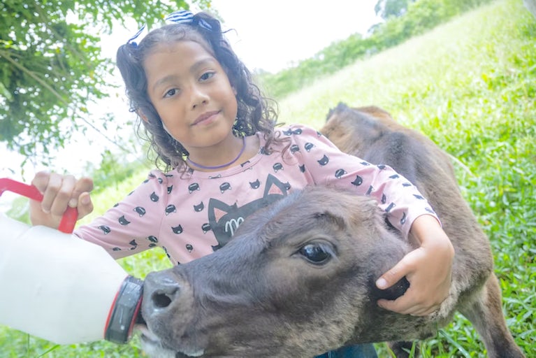 A young girl in a pink patterned shirt bottle-feeds a calf while gently petting its head in a grassy field.