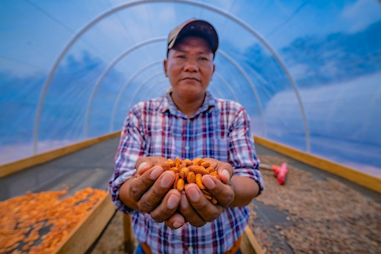 A Honduran man holding a pile of cacao beans in cupped hands.