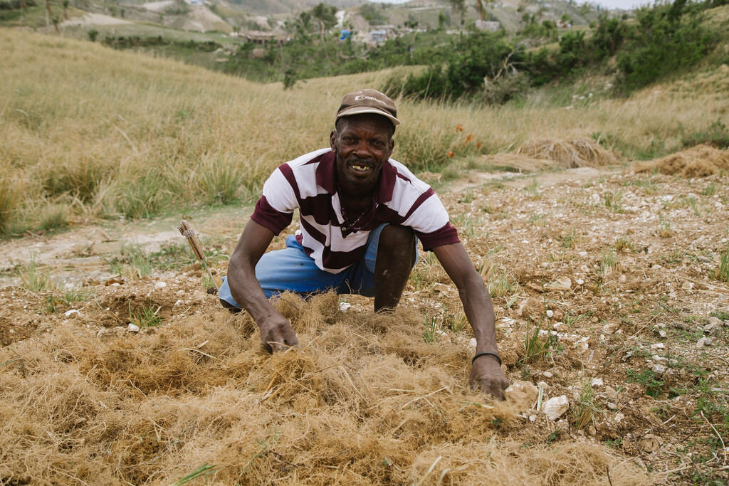A Haitian man crouching in a field of dry grass and looking at the camera.