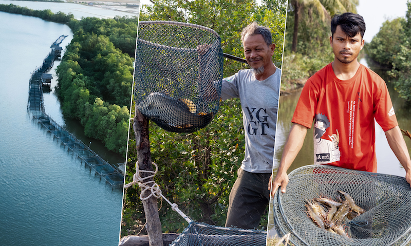 Fishermen in Cambodia.
