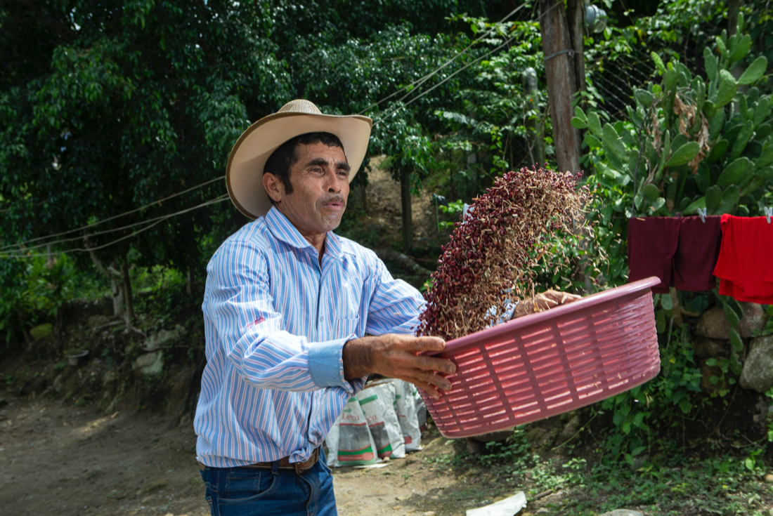 A man flips a bowl of beans into the air.