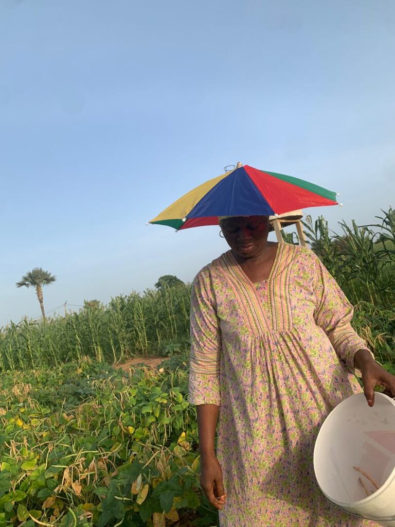 A woman holding a bucket in a green field under a colorful umbrella.