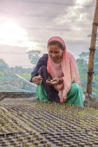 A middle aged woman holding a tender sapling with hands inside a self constructed greenhouse in her field in Bihar, India.