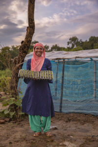 A middle aged woman holding a tray with several young saplings.