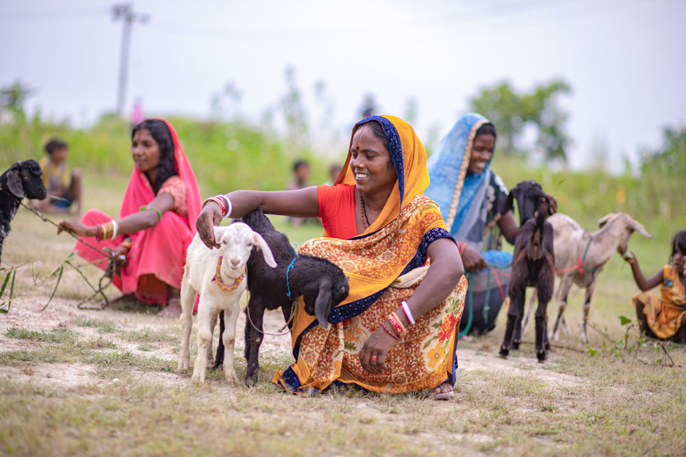 A woman in India sits next to two goats.