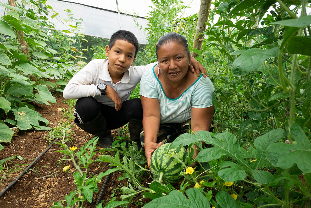 A woman and her son crouch next to vegetables in a greenhouse.