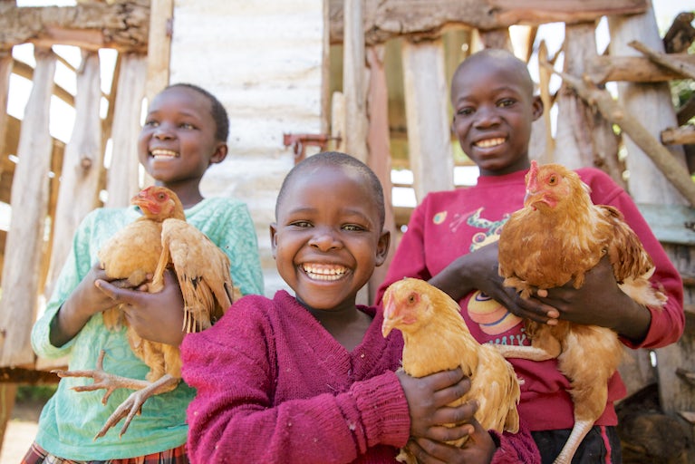 Three excited children hold their chickens.