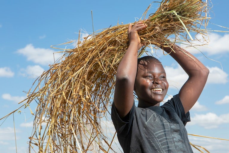 Smiling woman carries bundle of straw under blue sky.