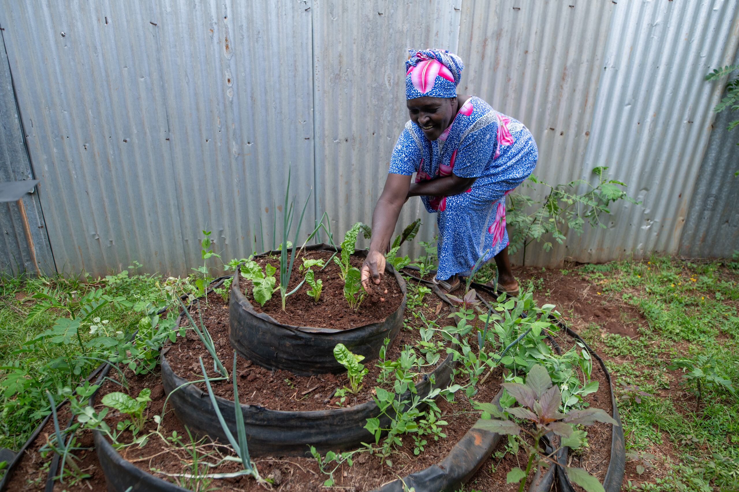 Woman tends her garden.