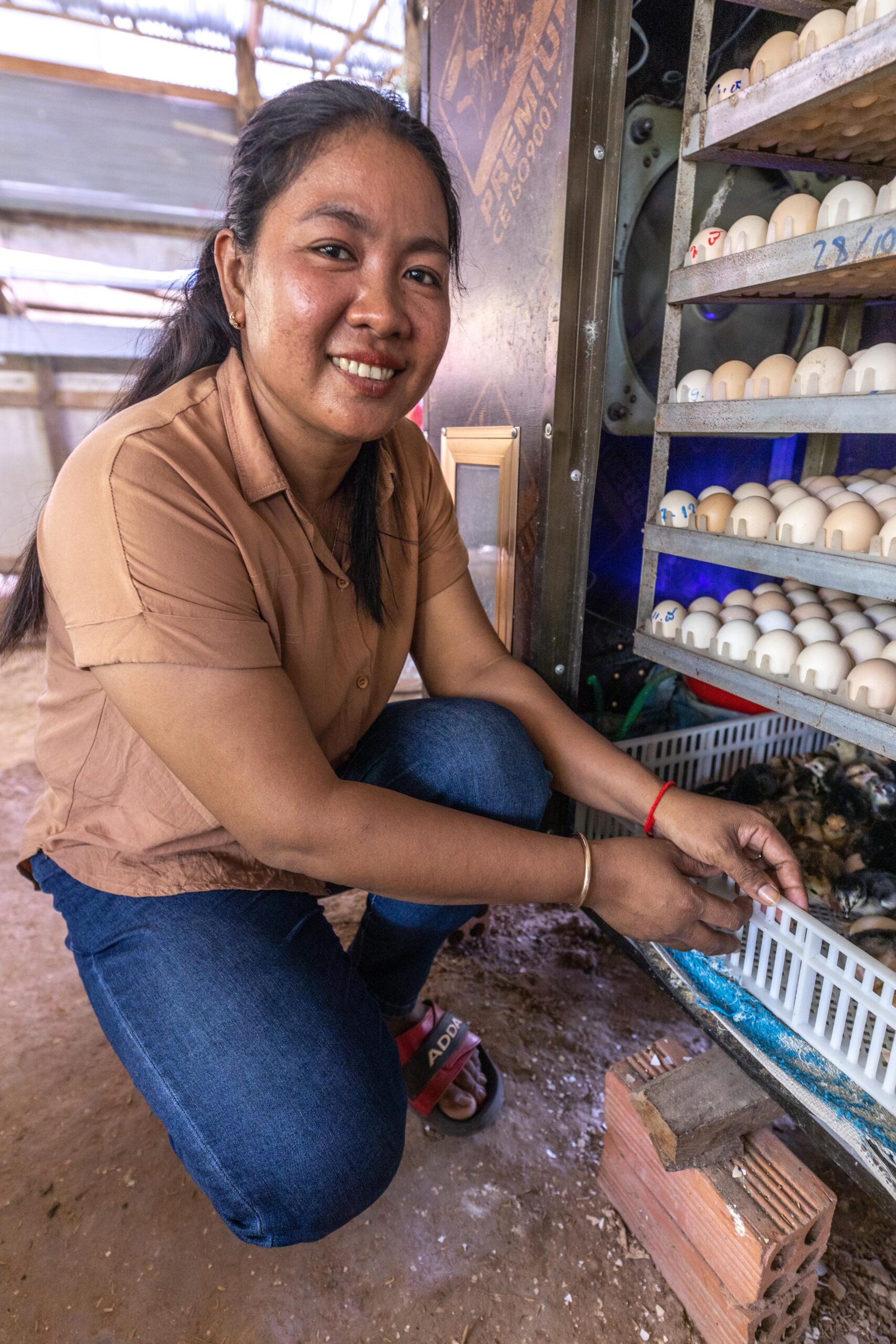 Set Hach pulls out a try with recently hatched chicks from the egg incubator. Photo by Phillip Davis/Heifer International