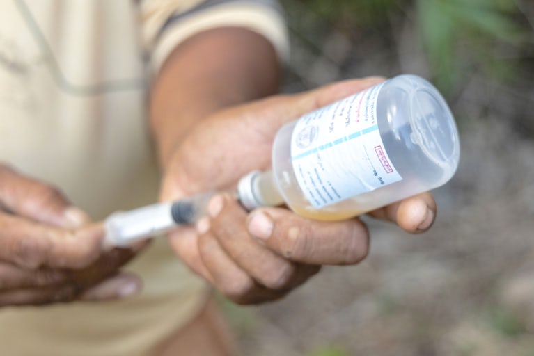 Close up of a syringe and vial of chicken vaccine.