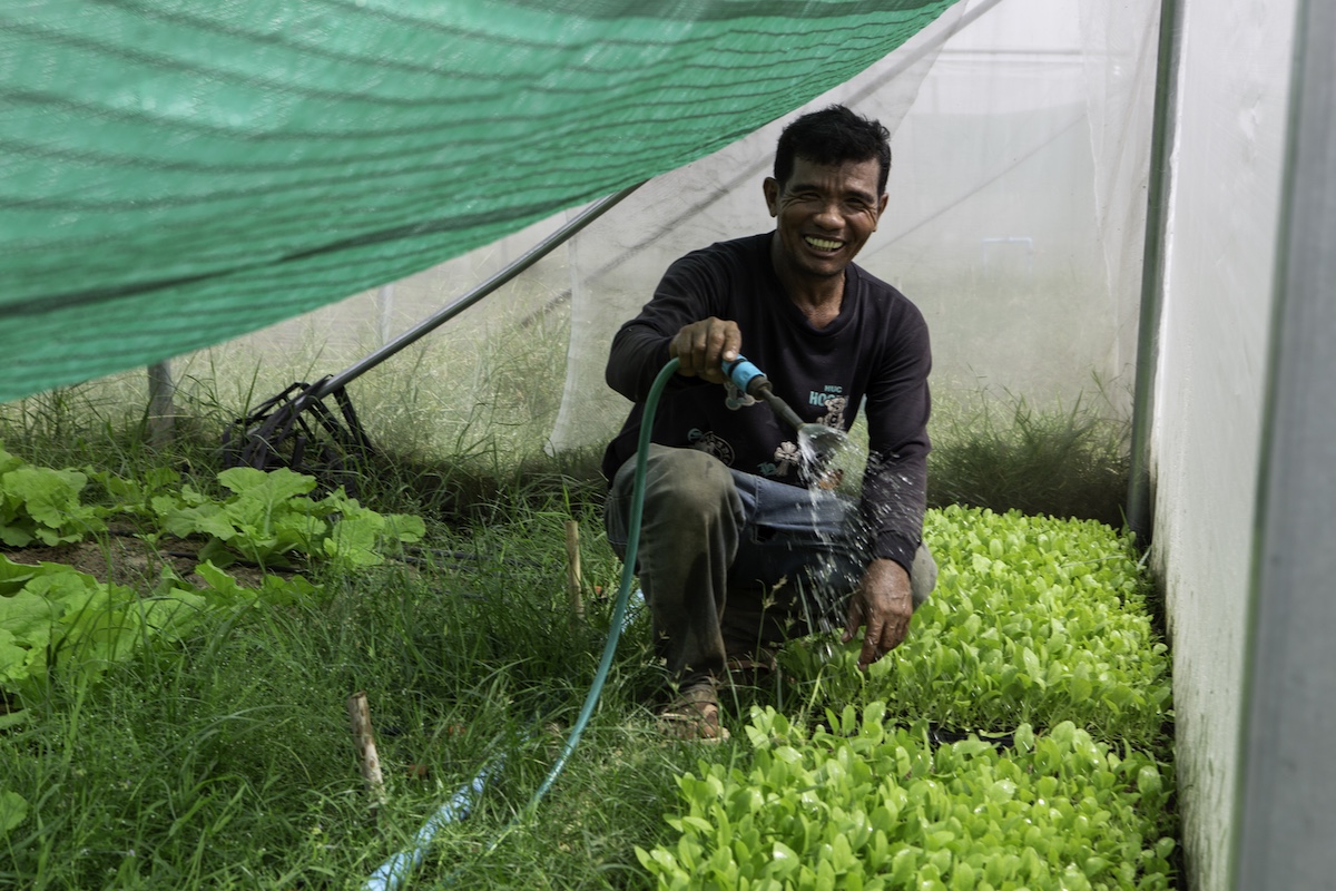 Chhol Chhouy uses a hose that is powered by solar panels to water vegetables in a greenhouse in Prey Vihear commune, Cambodia on December 14, 2024.