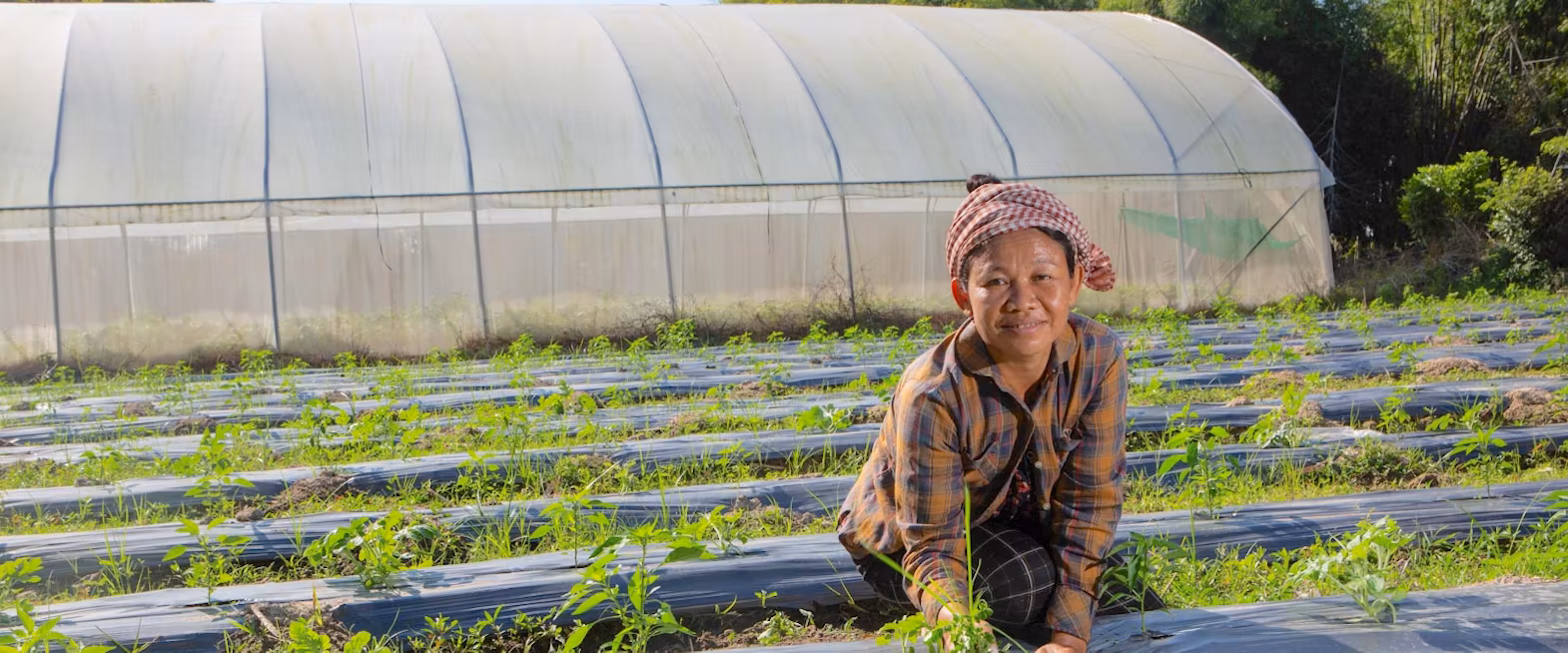 Woman weeds her vegetable beds.