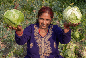 Kamala shows her vegetable production.
