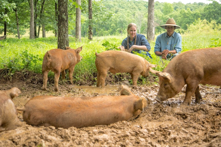 Josh Jimenez and Kerry Harrington watch pigs roll in mud.