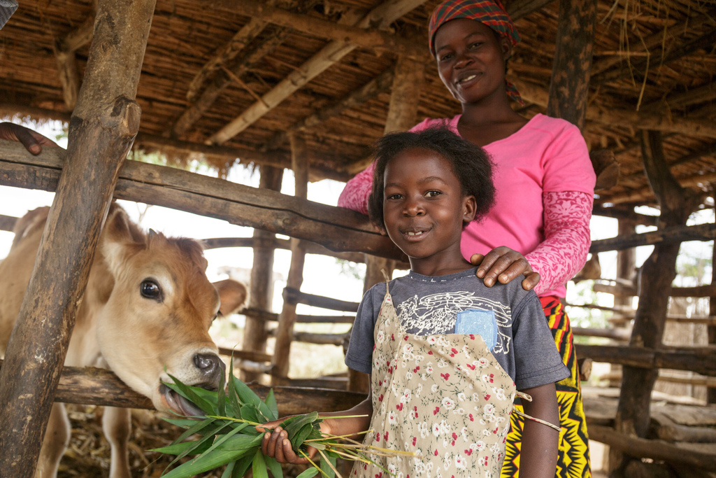Glyceria and Julita feed one of their family's cow.