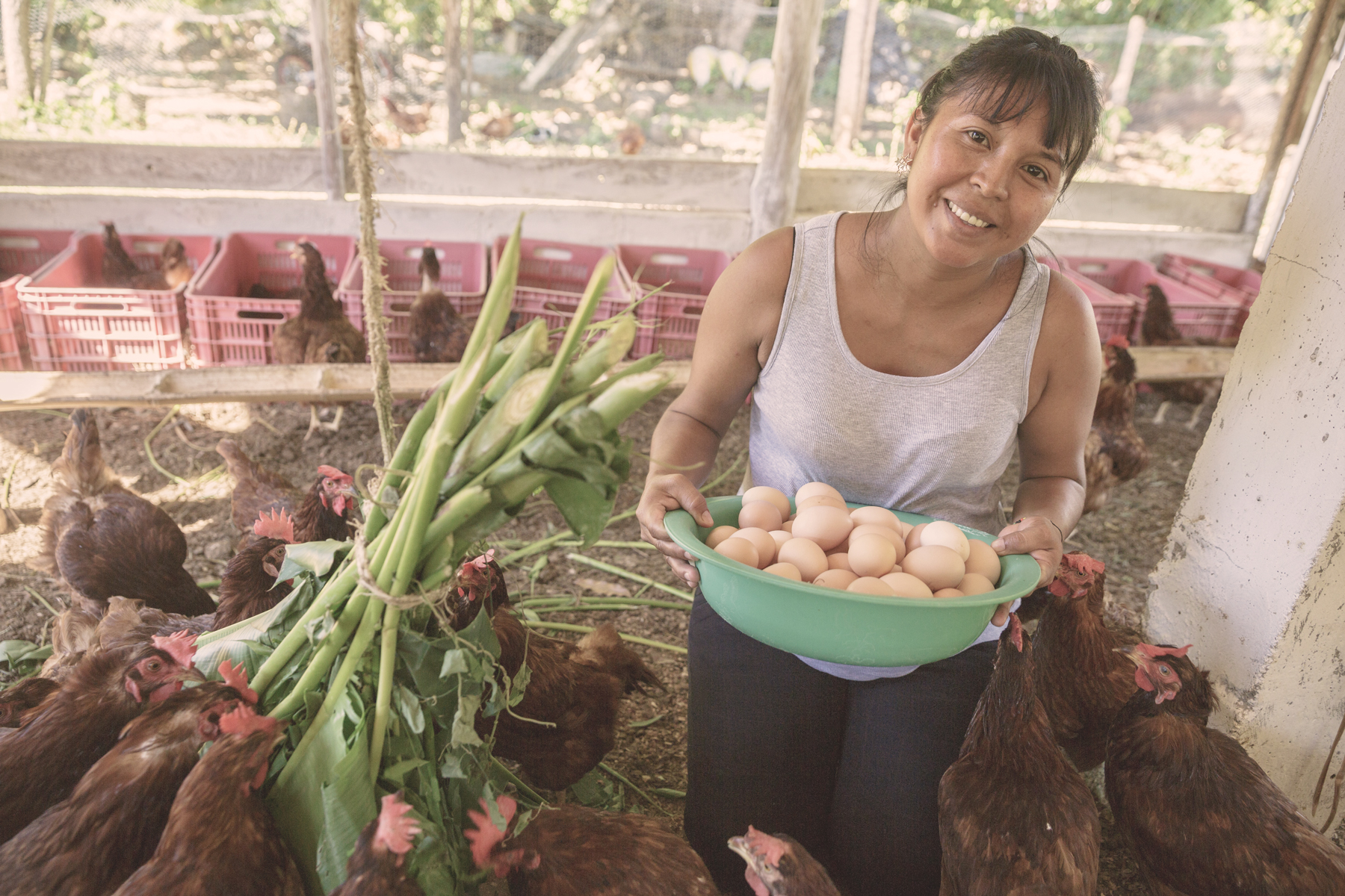 Woman in white tank top holding basket of fresh eggs among chickens.
