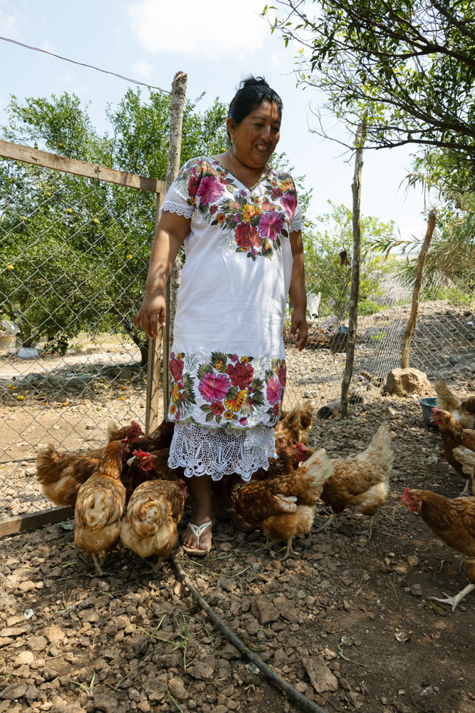 A Mexican woman stands at her farm with a flock of chickens at her feet. 