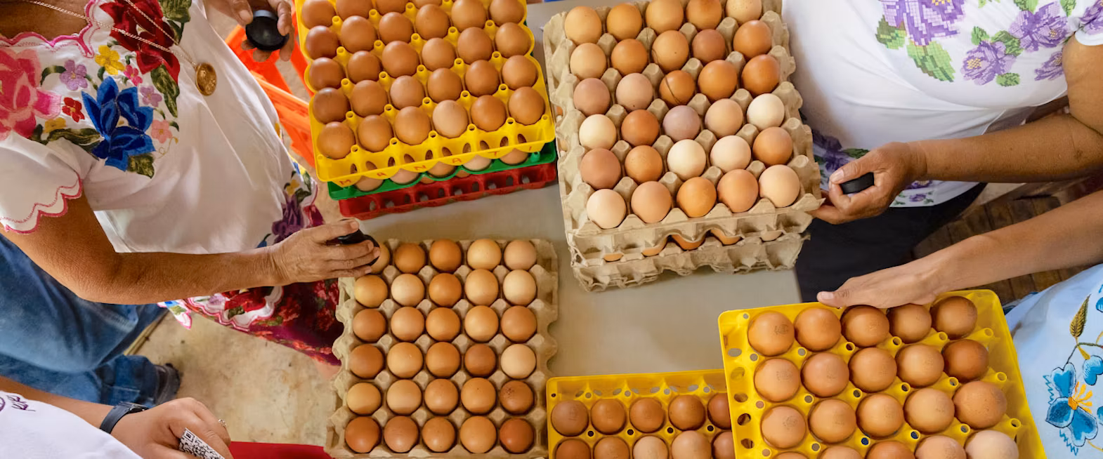 Overhead view of several hands organizing trays of brown eggs on a table.