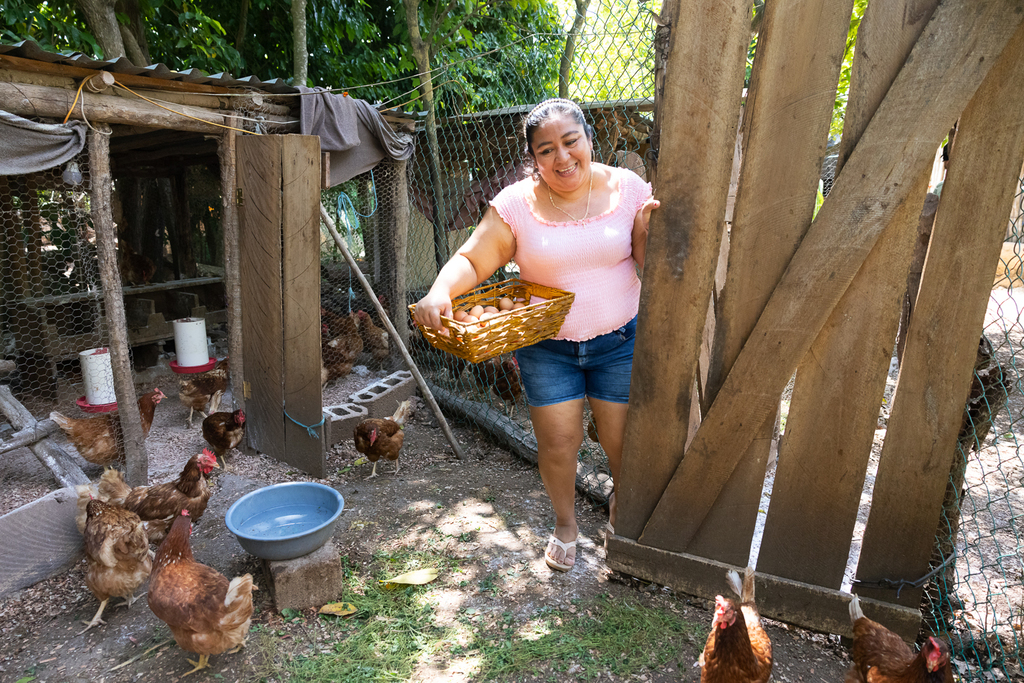 Marbella Cab Ku, 41, member of Kikibá, collecting eggs from her chickens.